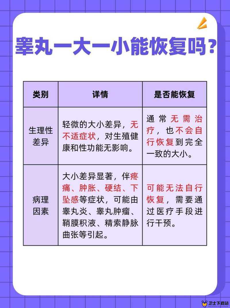 硬了一晚上导致睾丸疼恢复时长究竟需多久